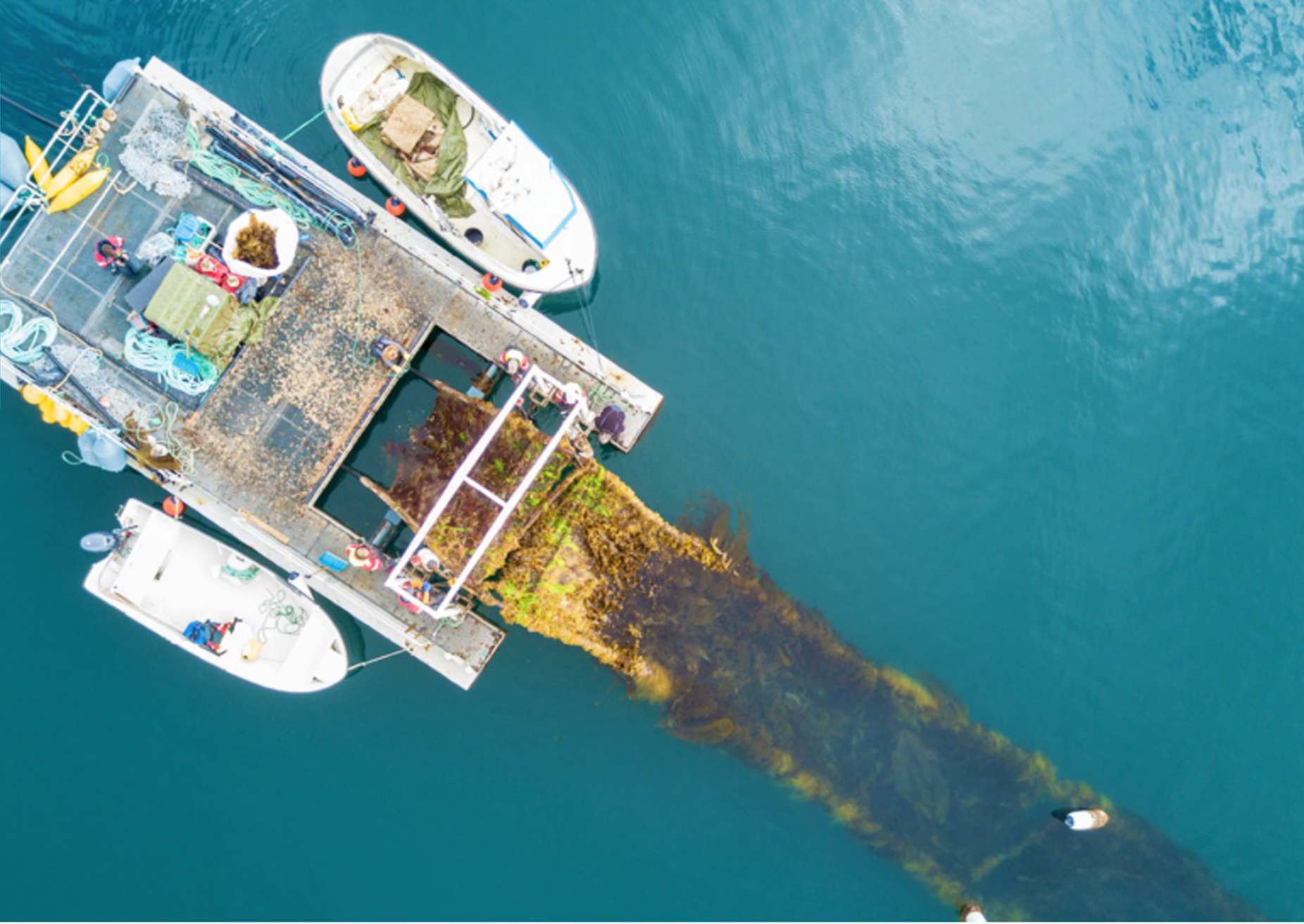 moored moored